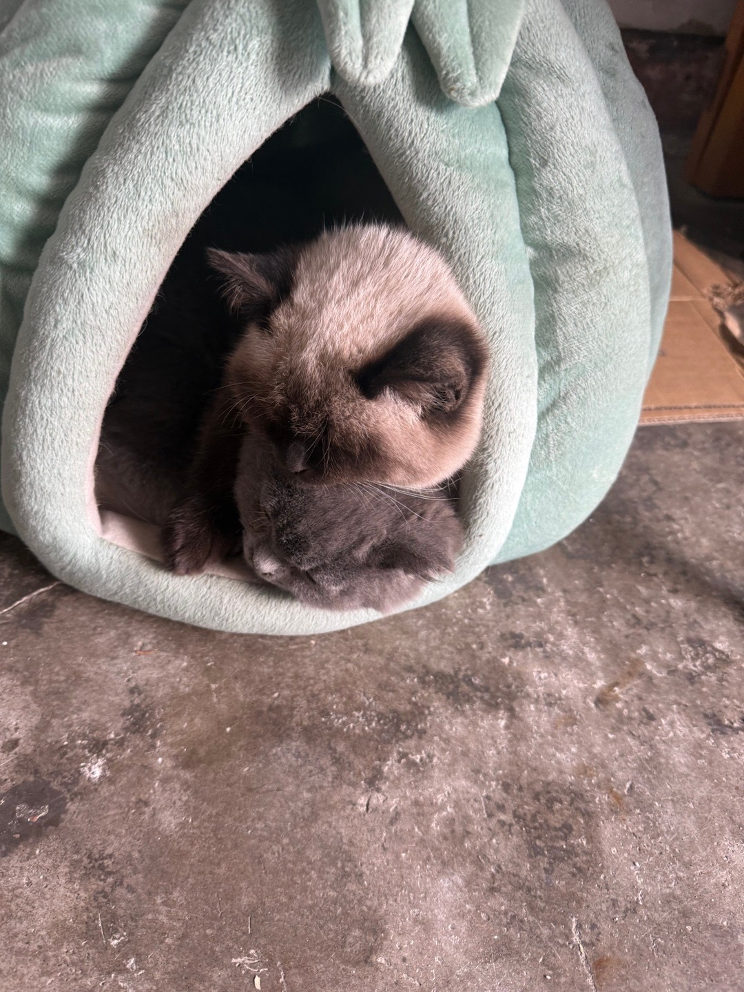 我的宝宝天下第一好 