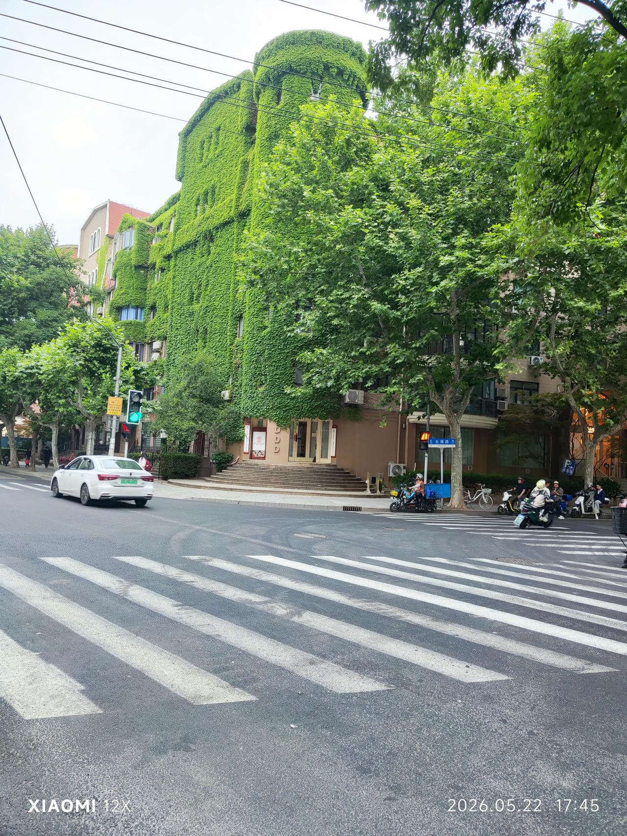 ·网绿大楼
 
爬山虎把旧楼织成绿的城堡，
梧桐影在墙根摇啊摇。
风一吹，满墙的