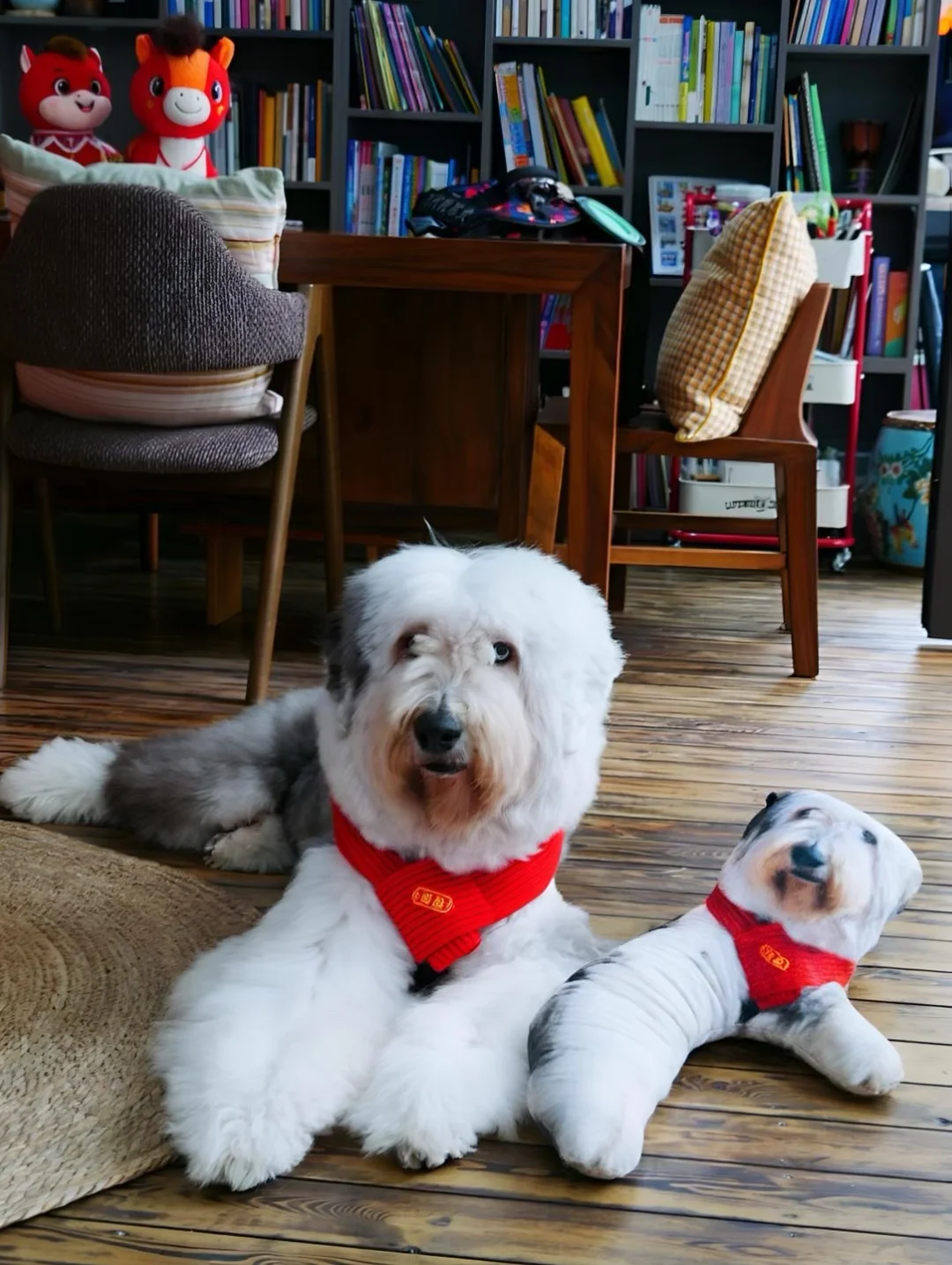 是挺抽象的昂！古牧抽象老鼠干