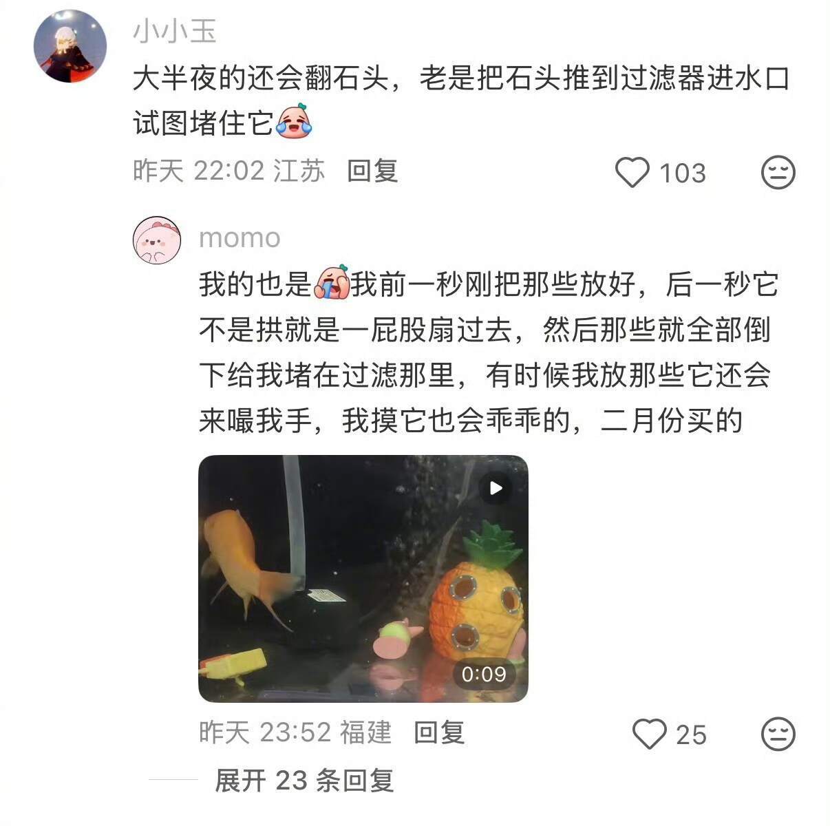 金鱼其实也挺吵的··· 