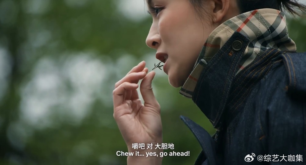 文咏珊和香格里拉的适配度 立业杜鹃铺满山野，文咏珊安静走进花海，没有多余的动作用