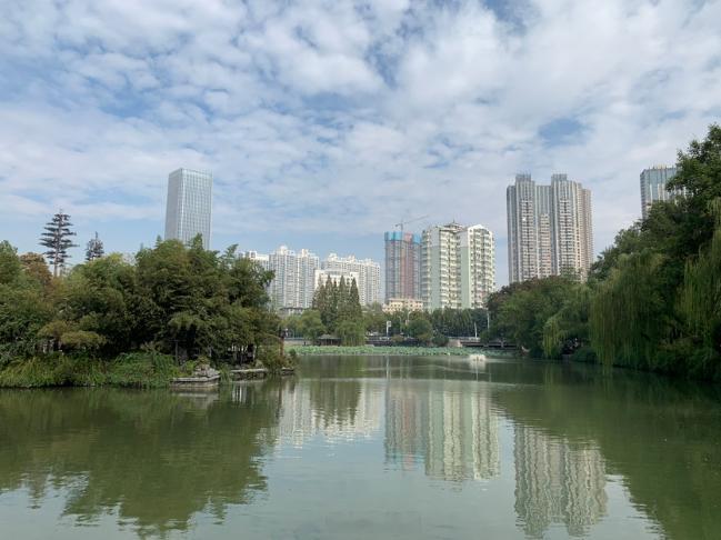 【珍爱湿地！保护专家周立志：别再让身边的小微湿地悄悄消失了】家乡房前的当家塘、小