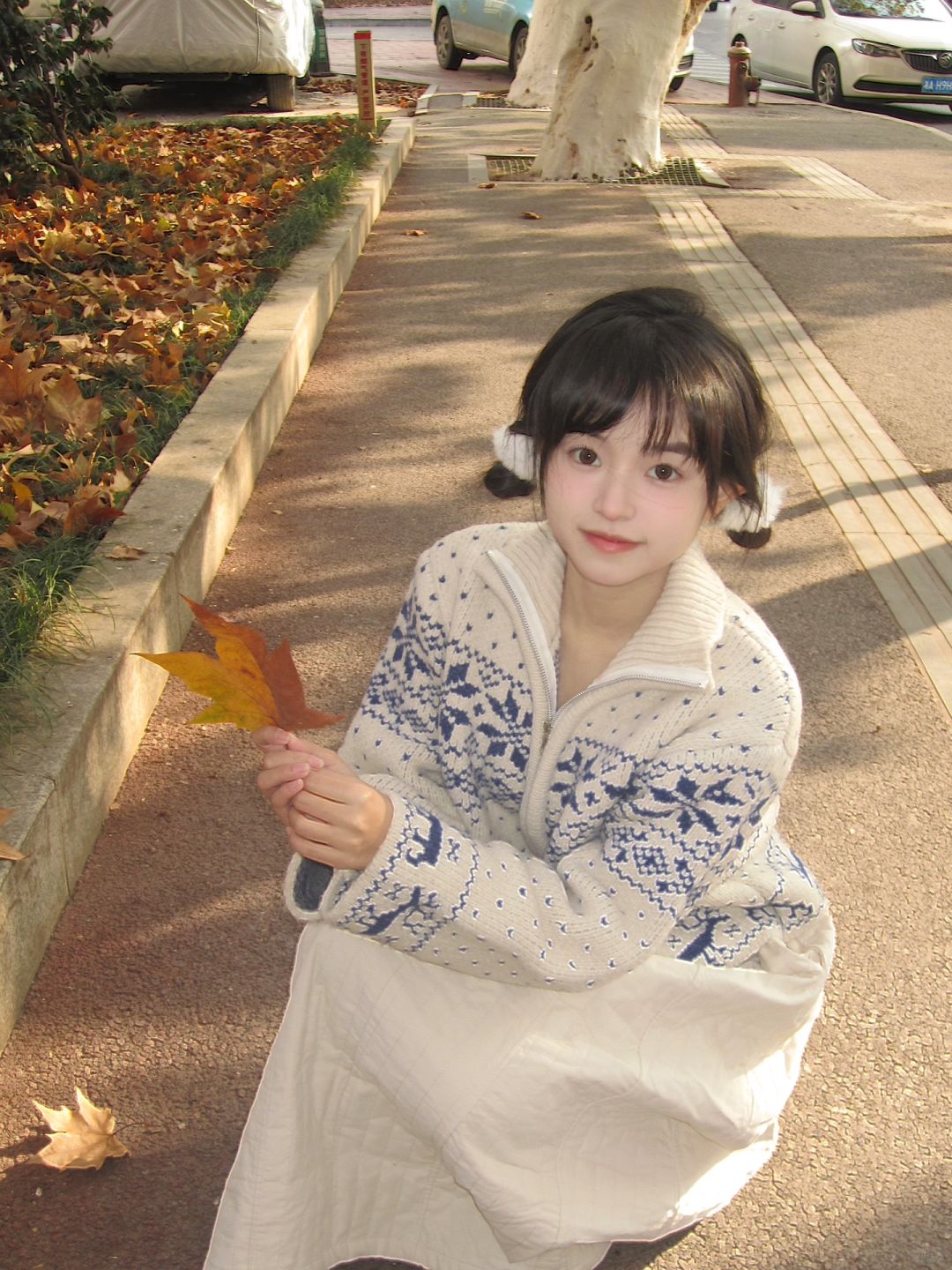 梧桐季节过了