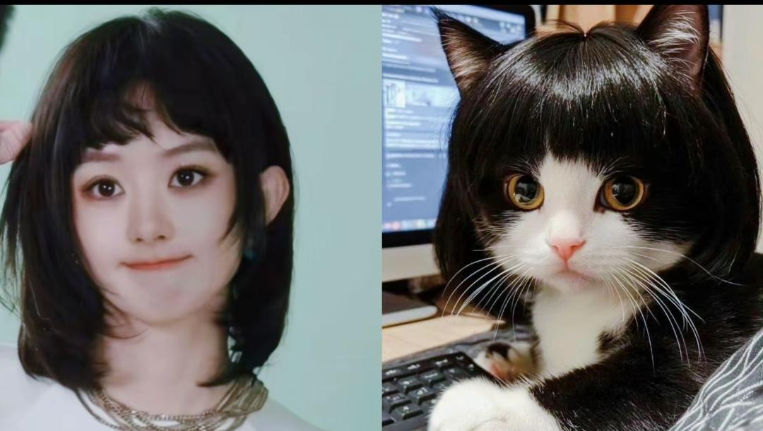 果然，丽粉啥对照图都能找到[爱慕][爱慕][爱慕]