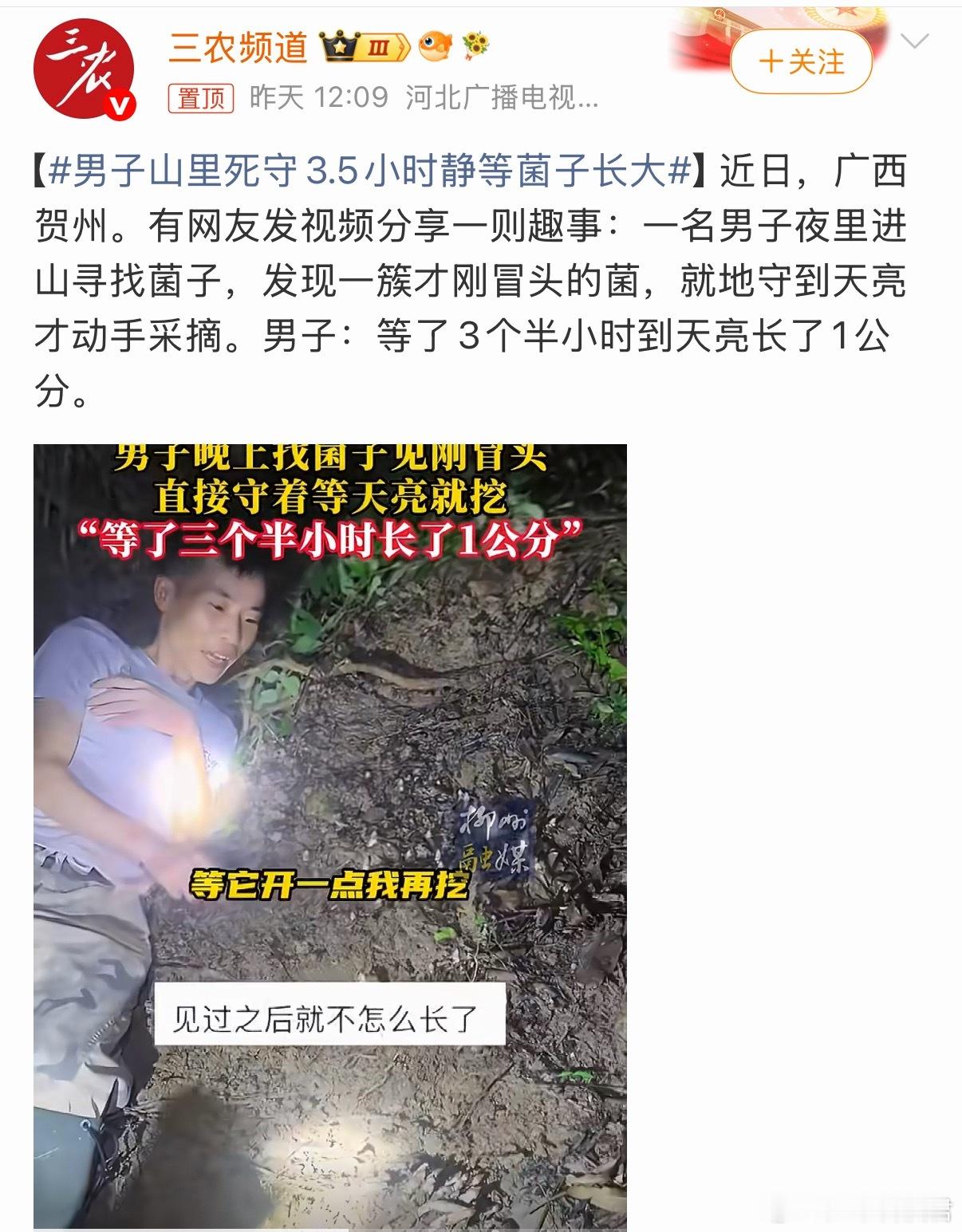 男子山里死守3.5小时静等菌子长大等了3.5个小时，菌子长了1公分，直接回家带上