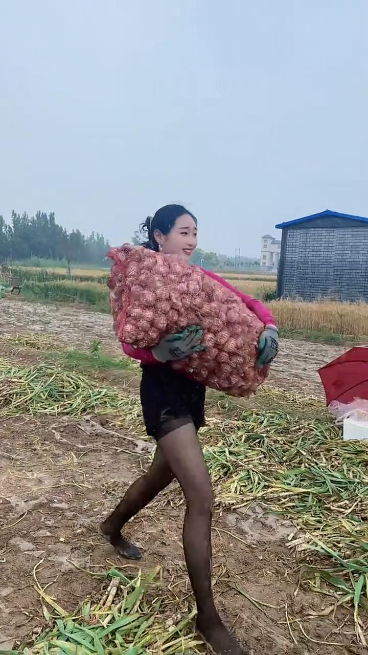 吉林夕阳红。