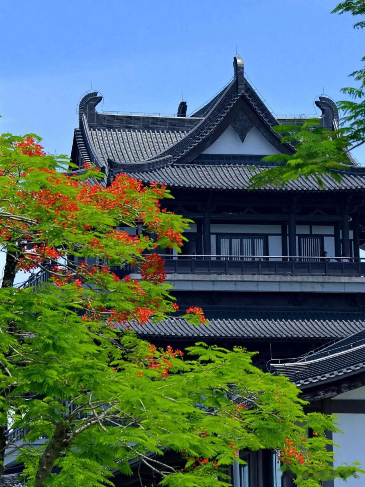 《檐角花影，岭南夏韵》
    广州文化馆的初夏，是一场古建与凤凰花的温柔相逢。