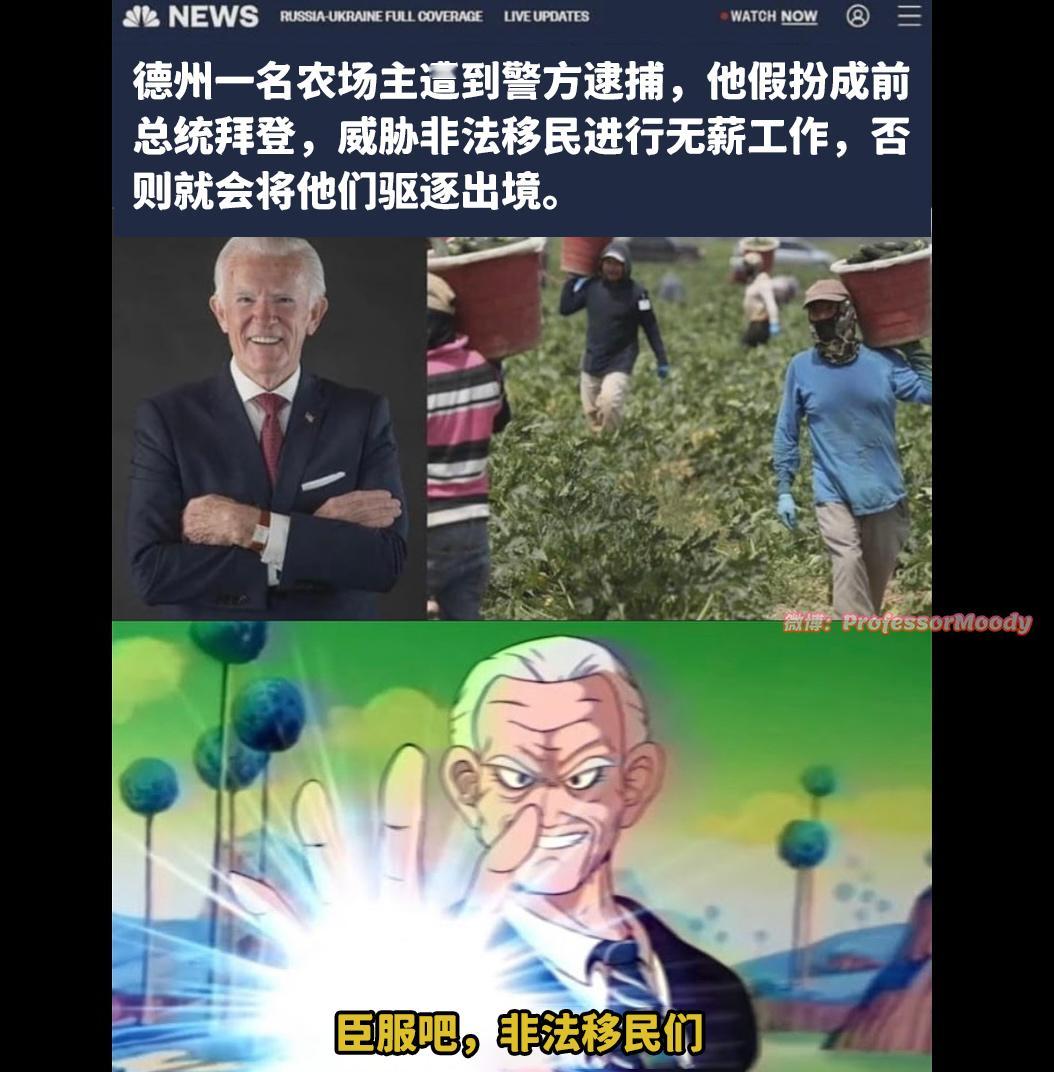 居然还挺管用 meme  /  