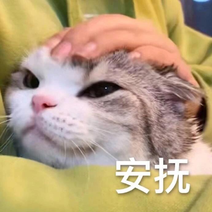 吴宣仪wxy吴宣仪雾茫茫 超喜欢又过小整数了，来合影留恋一下​​​