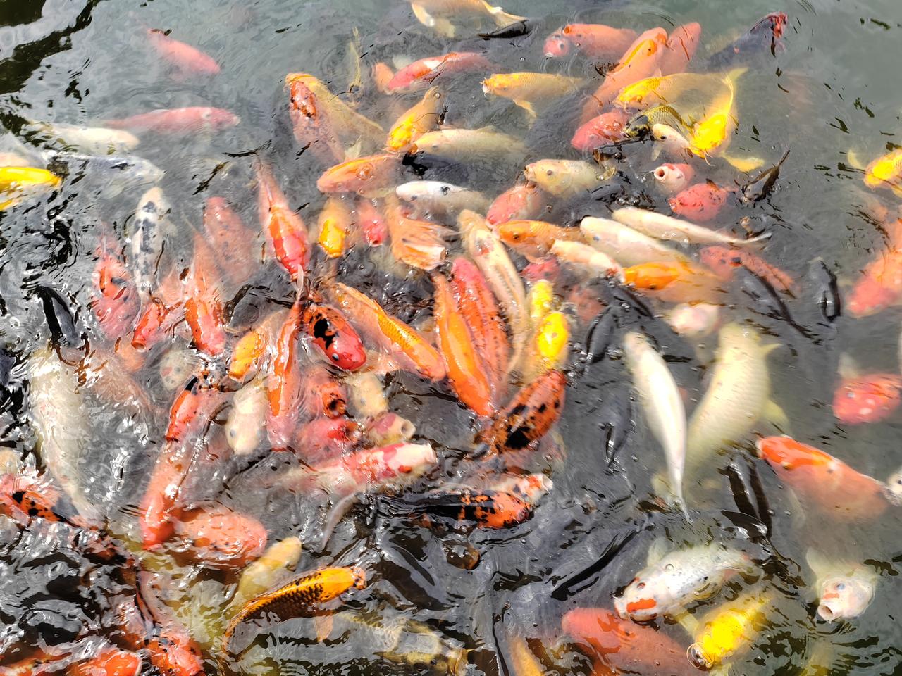 这里有慢悠悠的生活节奏，茶馆里的龙门阵、火锅前的欢笑、街头巷尾的麻辣香气，都让人