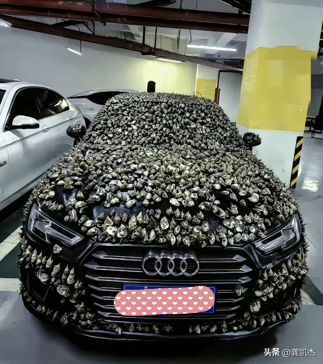 吓一跳，车身被贴满发泡胶，像深海老鳖了。（估计占别人车位不肯移车吧）