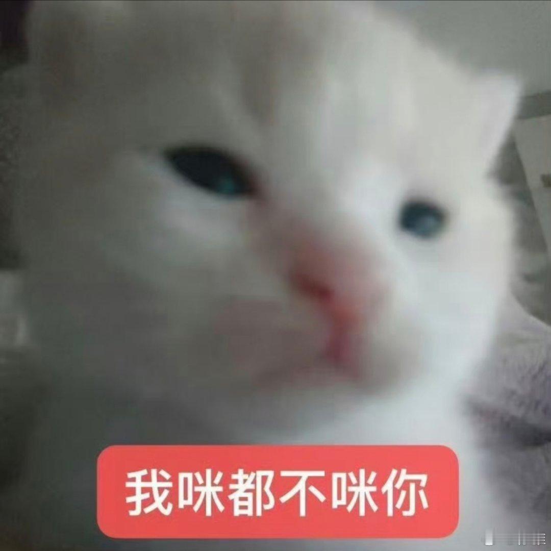 搞笑表情包。 ​​​