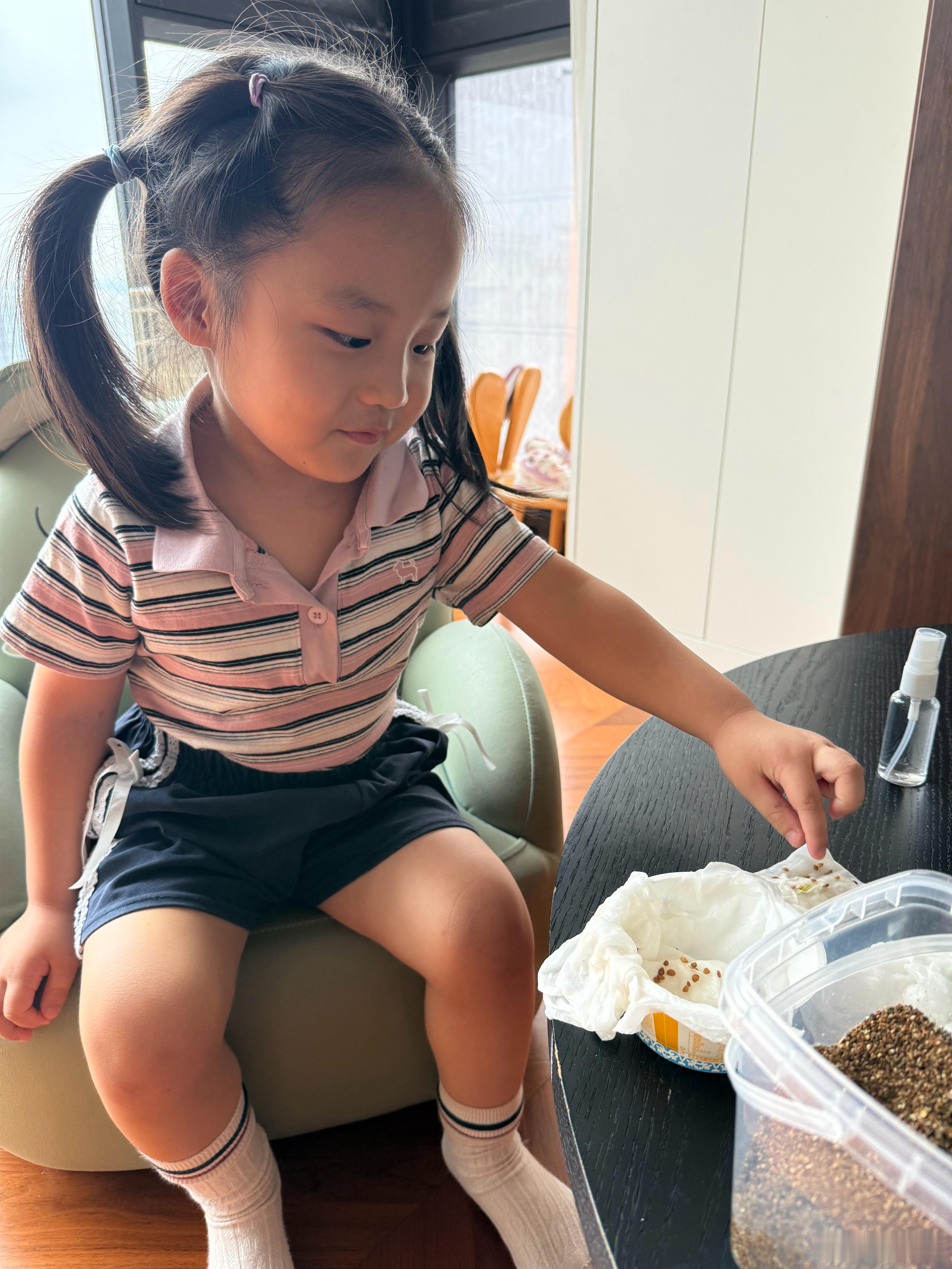 正在和姐一起种番茄临出门之前有一百件事要干 ​​​