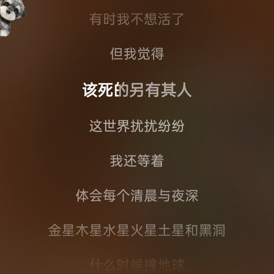 分享图片 