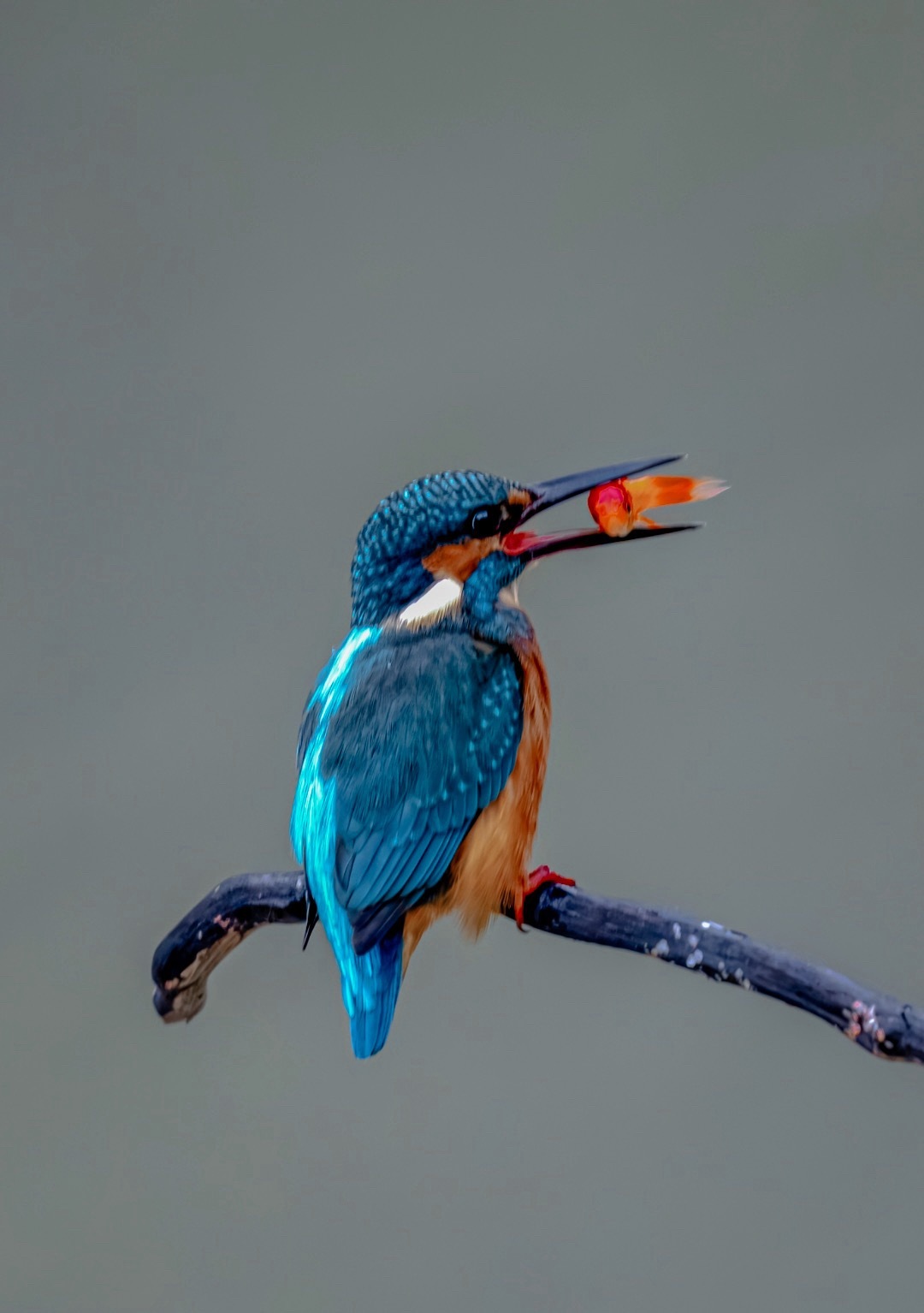我最近在观察一批场外基金，你们不要急，现在基金很多要调仓的，暂时看不出什么。反正
