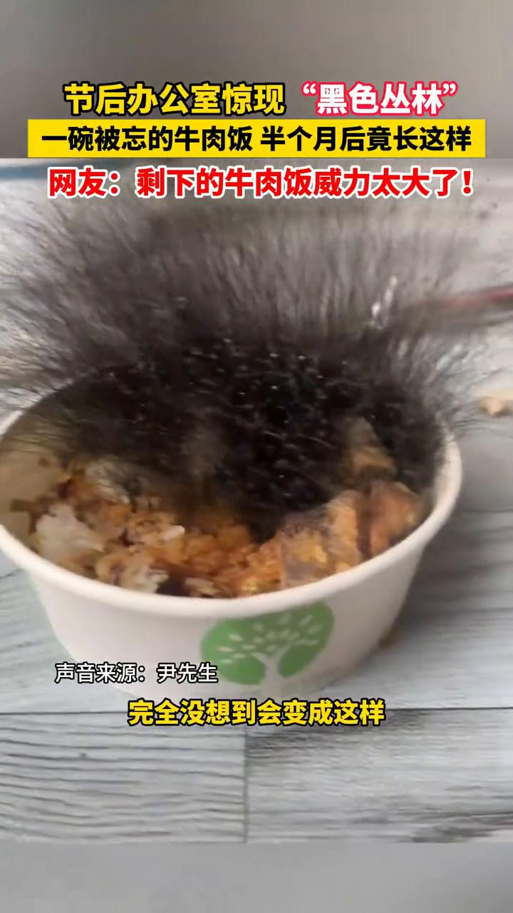 节后办公室惊现"黑色丛林"，一碗被忘的牛肉饭半个月后竟长这样。
网友：剩下的牛肉