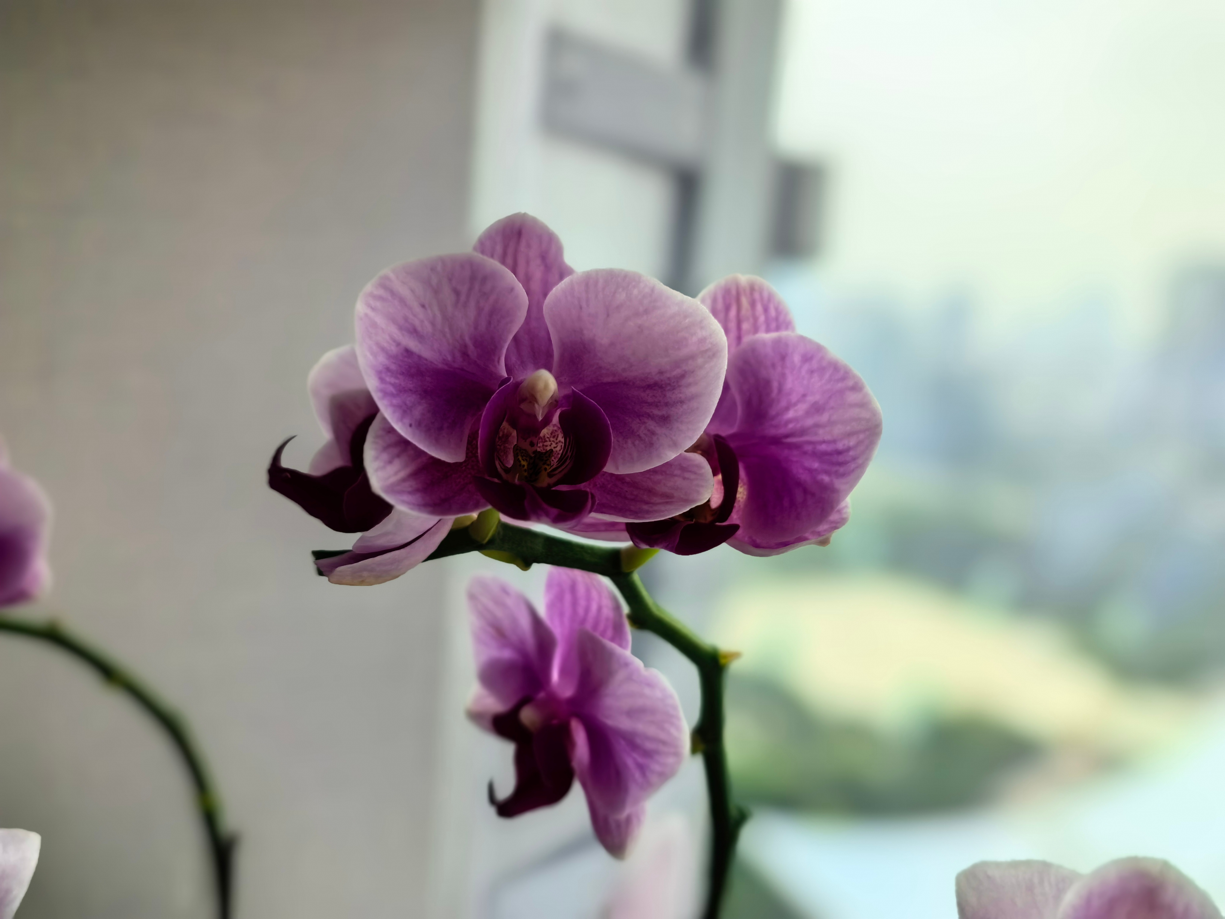 闲话投资1191孙子曰：知彼知己，百战不殆；不知彼而知己，一胜一负；不知彼，不知