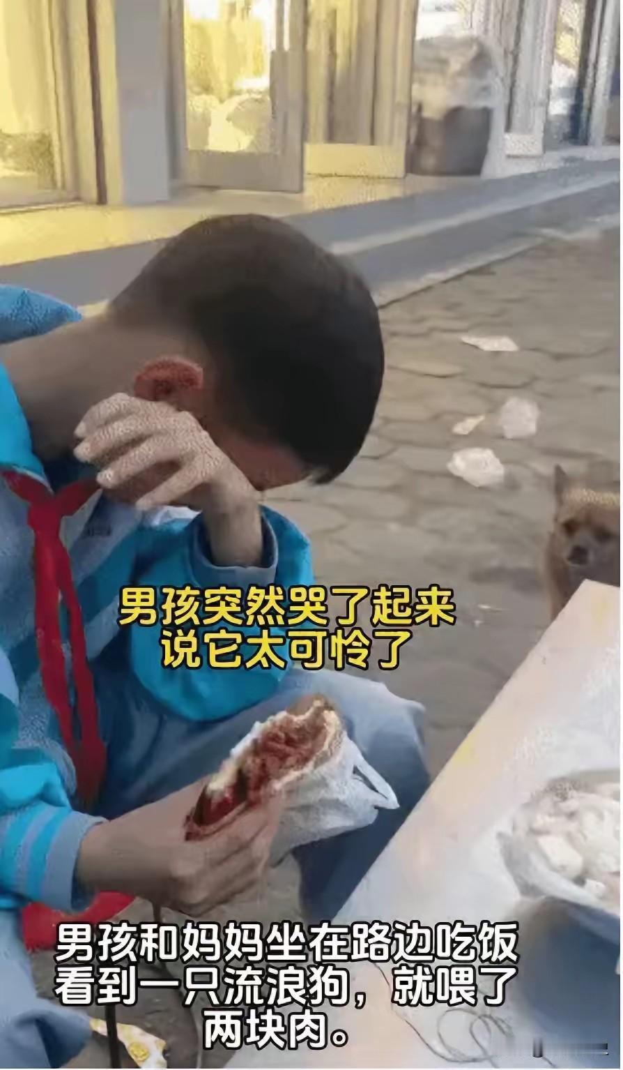 何女士和儿子在路边吃饭的时候，一只流浪狗上前向他们乞讨食物，男孩喂了两块肉，难过