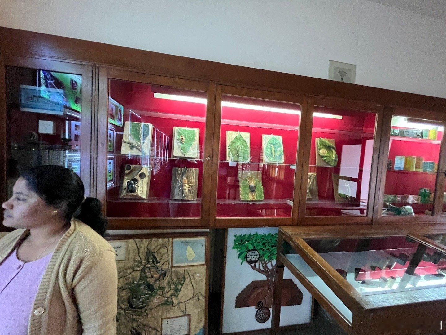 周晋峰会斯里兰卡茶研究所所长商合作世科院周晋峰院长到斯里兰卡茶研究所总部考察，会