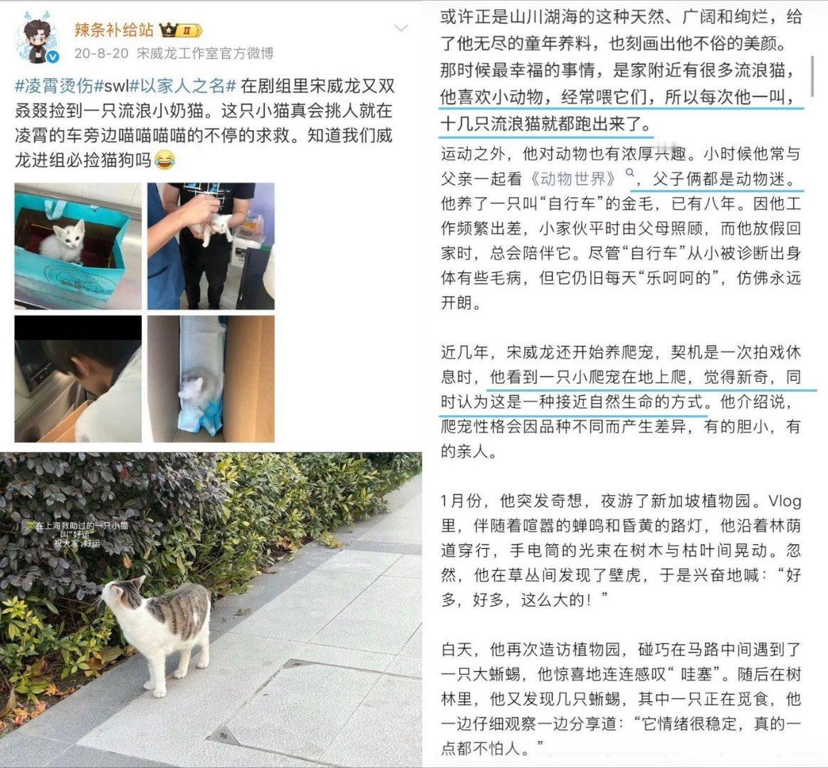 万物皆有灵～讨小动物喜欢的人，灵魂及其磁场一定是纯净而美好的！宋威龙就是这样的人