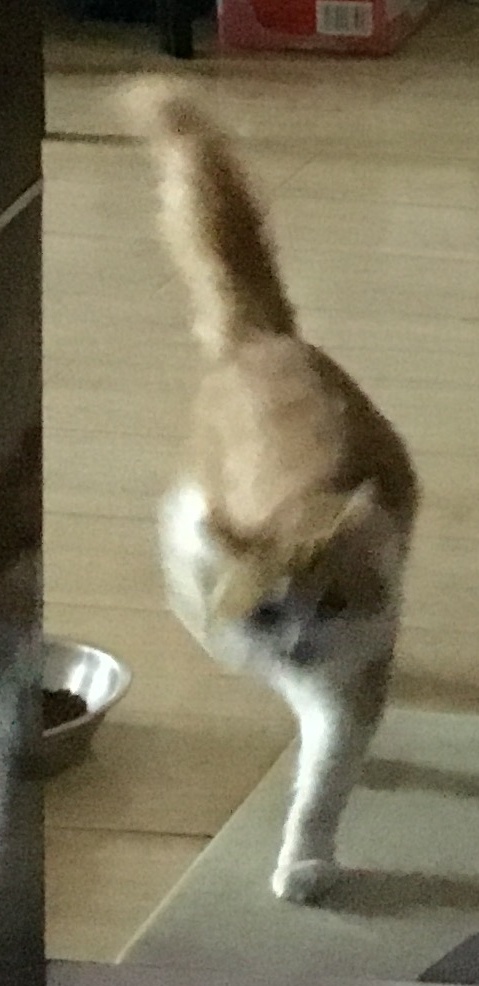 25455基本告别摄影界 