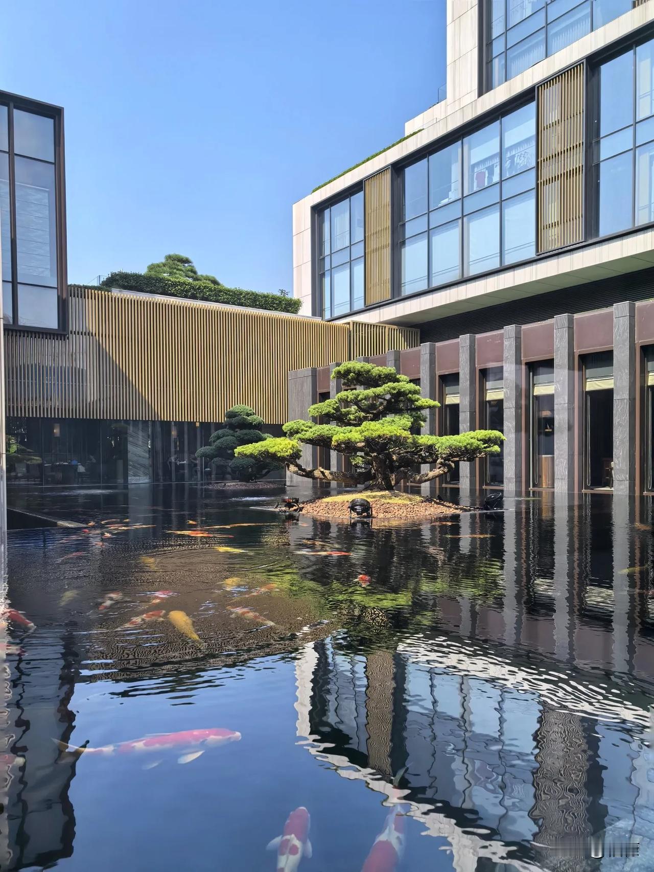 苏州最值得体验，最具苏式韵味的酒店。
不敢相信苏州柏悦都已经5年了，可能是因为被