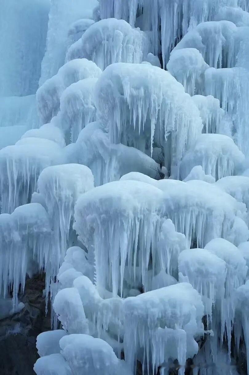 冬日生活打卡季