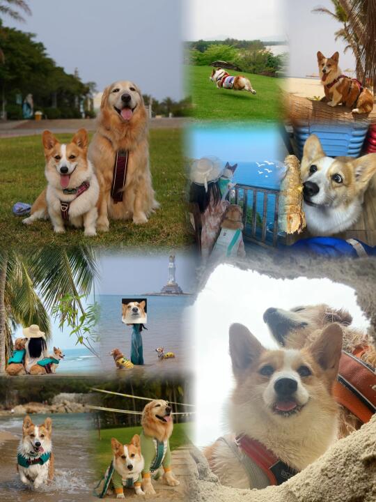 皖A小狗铁腚勇闯海南岛11天攻略分享～