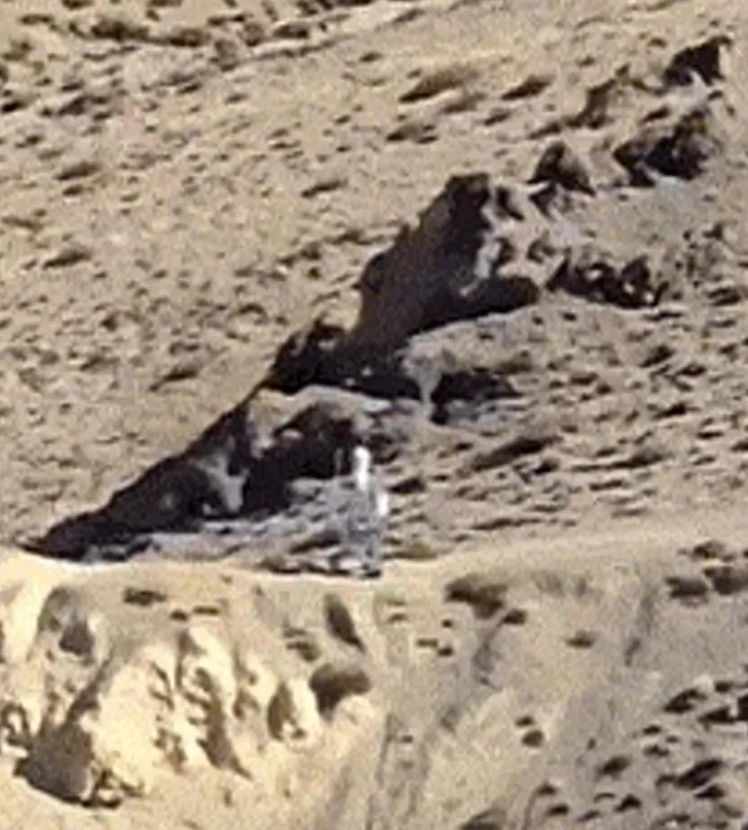 嘲笑机器人不带枪？你可能低估了“智能边境”的降维打击能力

近日，关于中国边防机