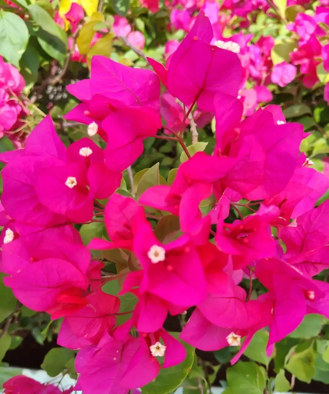 儿媳不喊爸妈、不帮忙、还当面拆台：婚姻里的隐形炸弹正在倒计时
进门三年，她从没叫