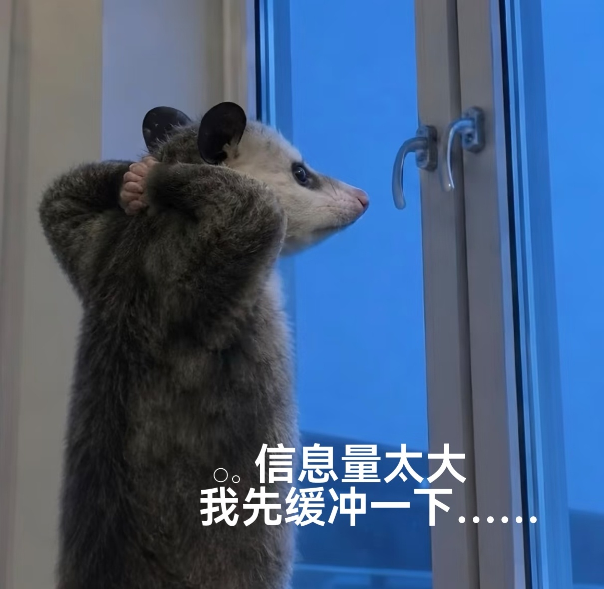 最近俩rs，都特魔幻一个已成年的拼命当没断奶的巨婴，cos陋室娇子文学一个真.婴