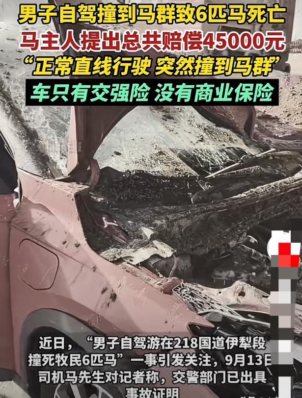 男子一行4人从河南开着一辆新能源汽车到西北自驾游，开启辅助驾驶模式，途经218国