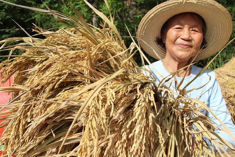 农业农村部部长建议大家少吃点油确实，健康饮食十分重要。少吃盐，少吃油还是有必要的