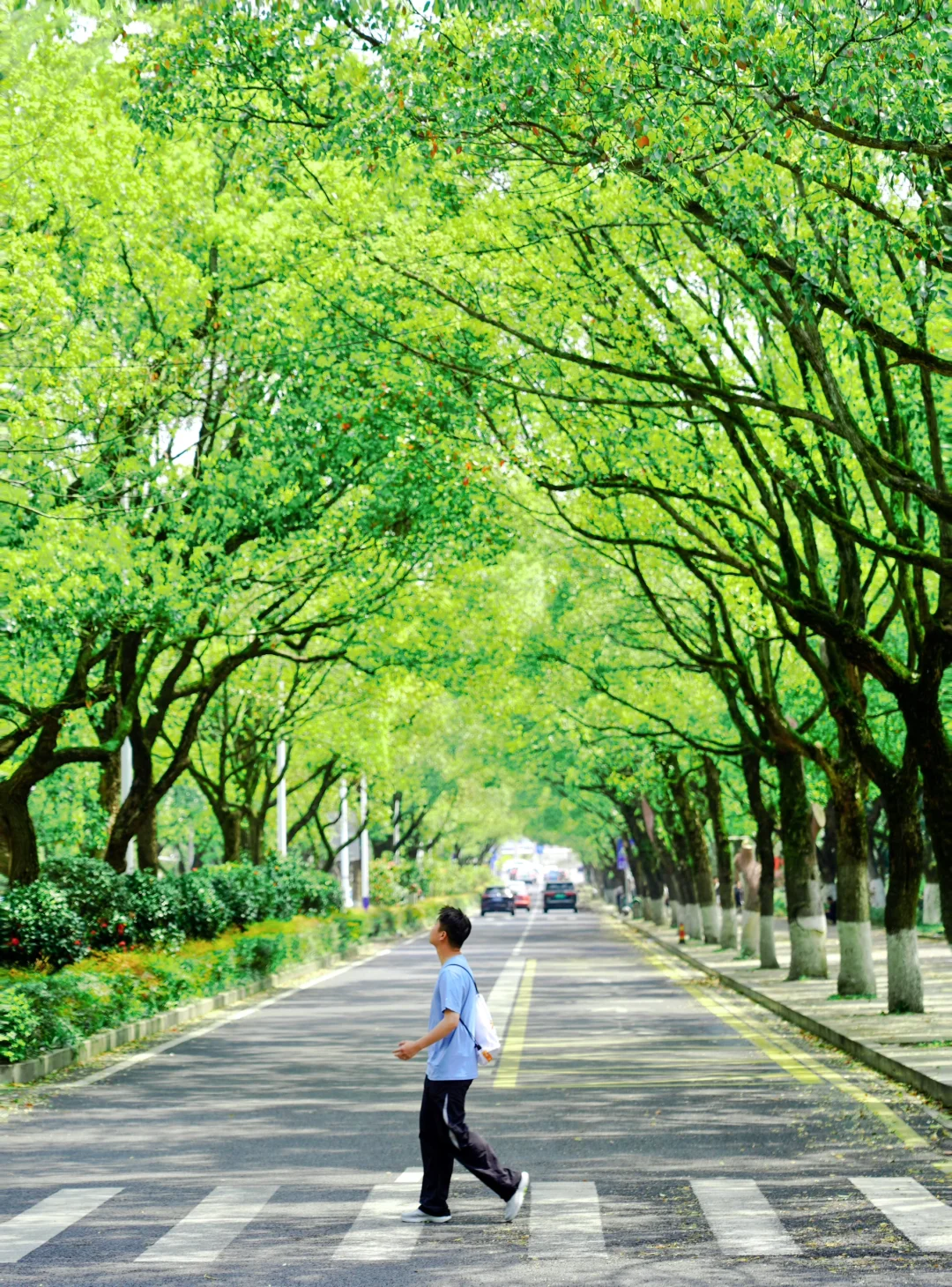 不止于3万步🍃这才是长沙的正确打开方式