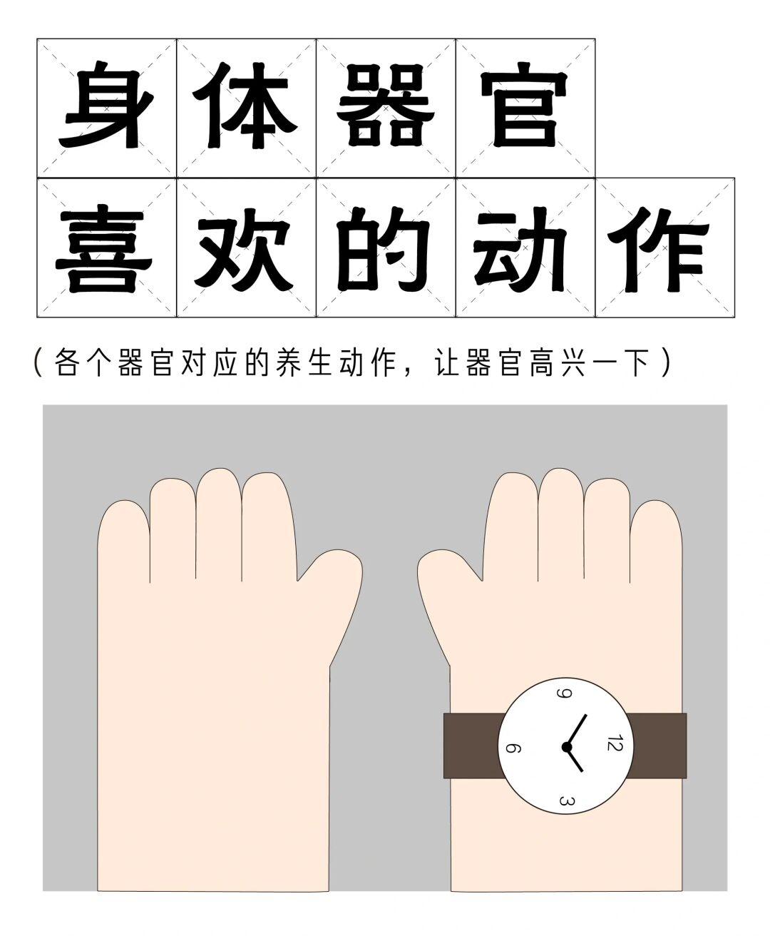 百岁老人培养计划