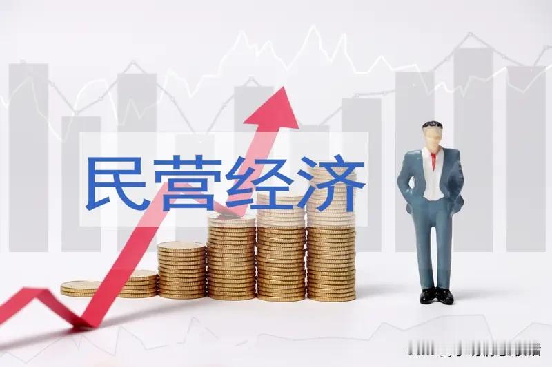 哇塞！民营经济活力全面迸发！
创新投入增加，市场持续拓展，数字化转型如火如荼；人