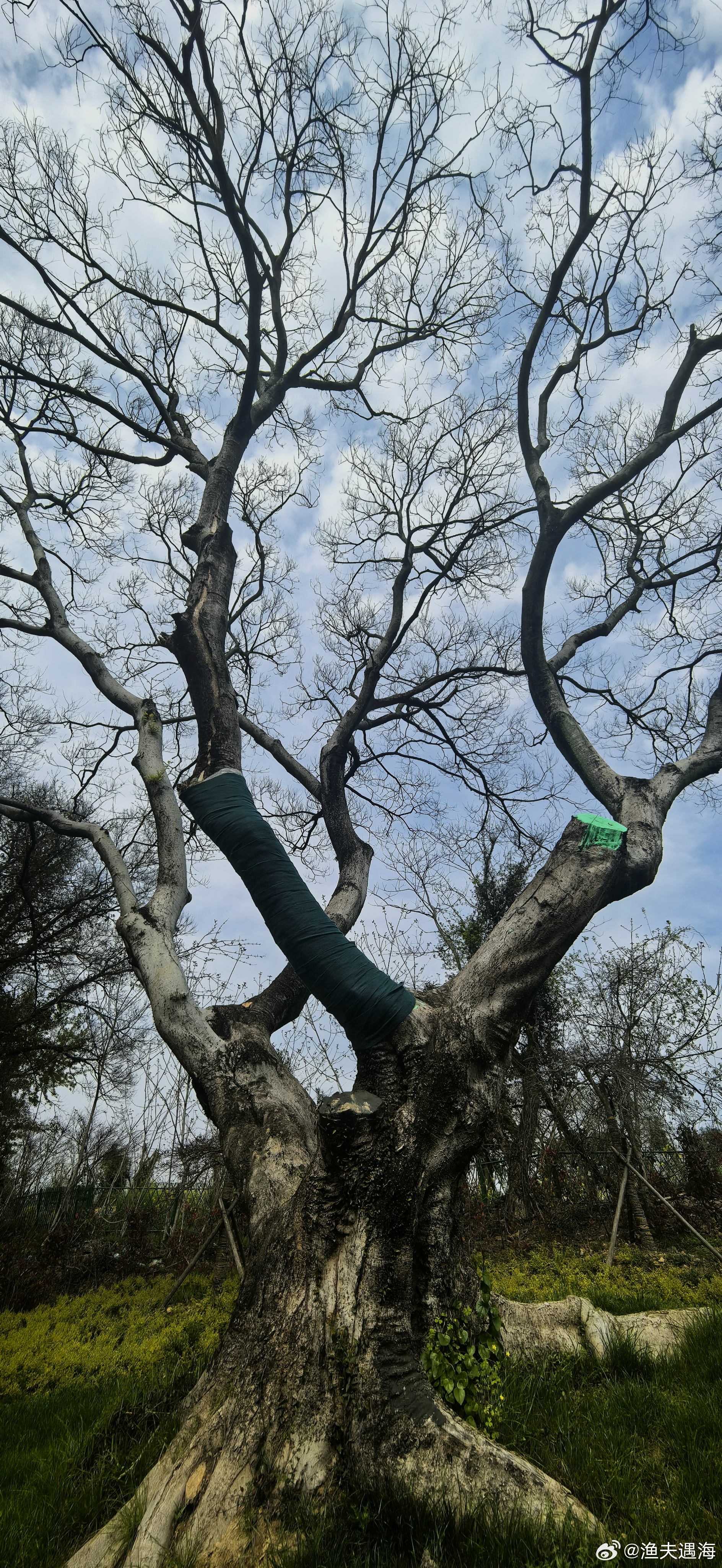 新壁纸  早安！ 