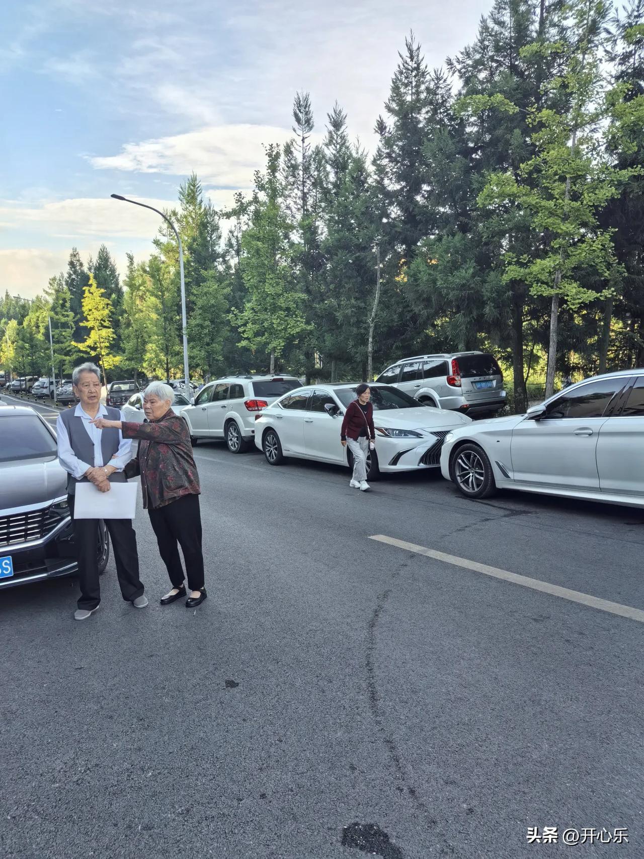 凤凰街的搀扶，是老了病了之后最好的依靠

健步走回来，路过凤凰街。阳光正好，树影