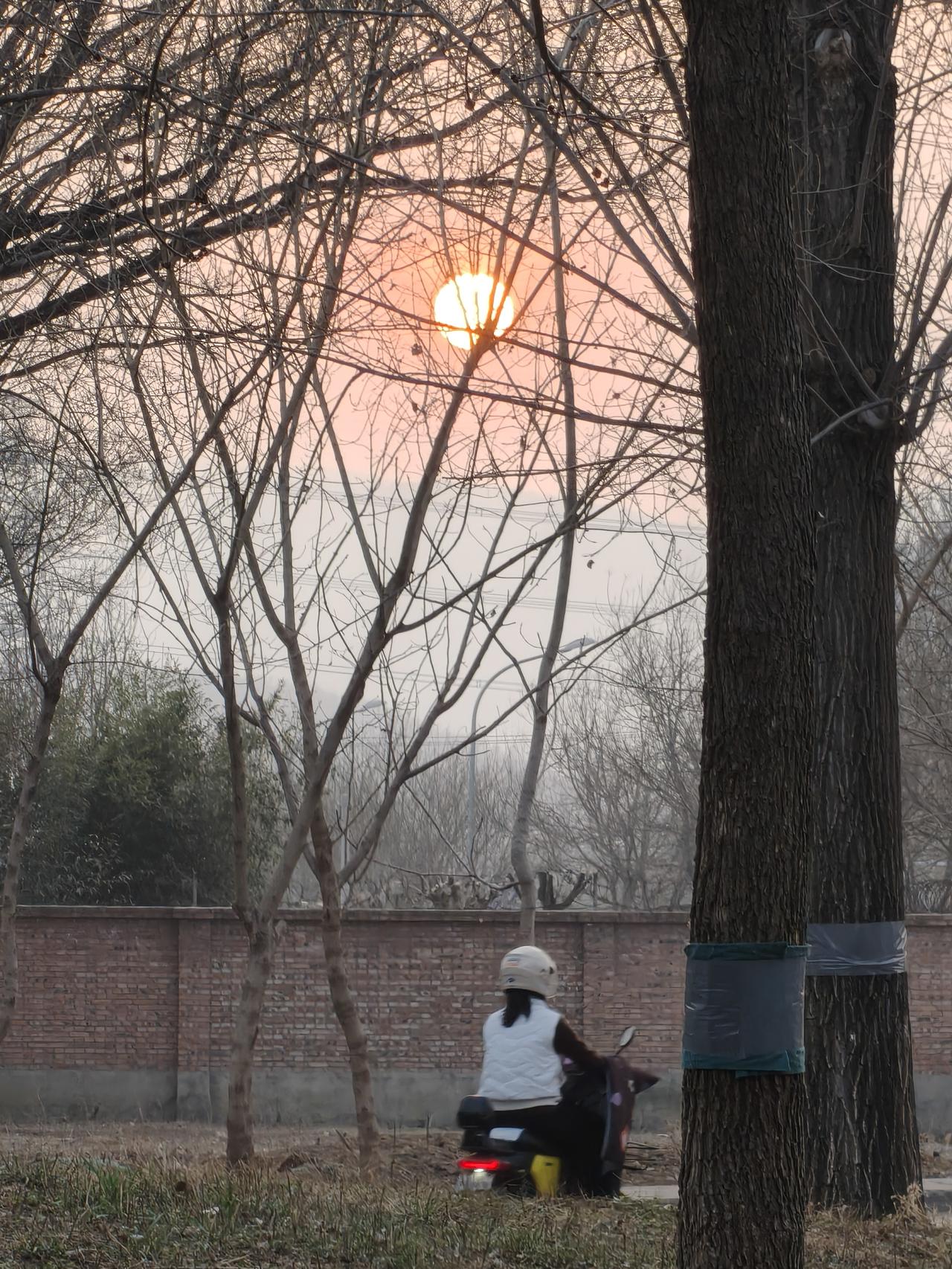 上联：蝉鸣高柳，求下联虎啸山中`