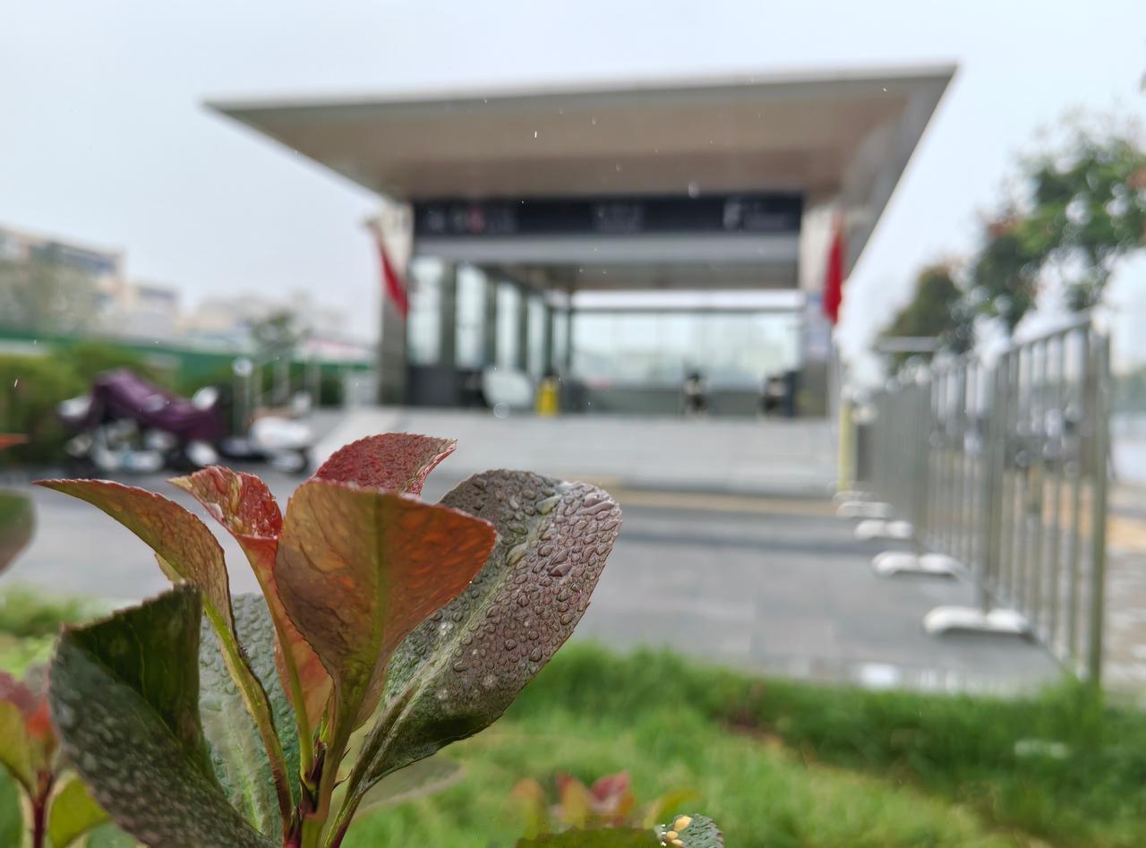 秋日的地铁站口被一层薄雾晕染得格外温柔。灌木丛在秋意里晕出红绿交织的斑斓，有的深