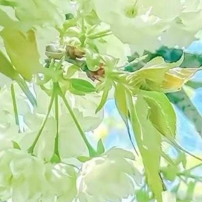 0000以勤为桨，渡往远方人生行路，从来没有凭空而来的顺遂，所有从容坦荡，皆是勤