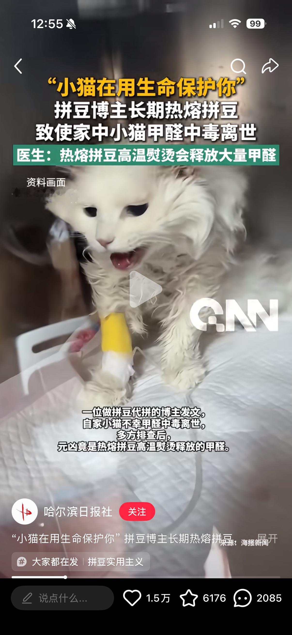 什么叫小猫在用生命保护你，玩儿拼豆这么久不知道烫豆会释放大量甲醛？再咯噔一下试试