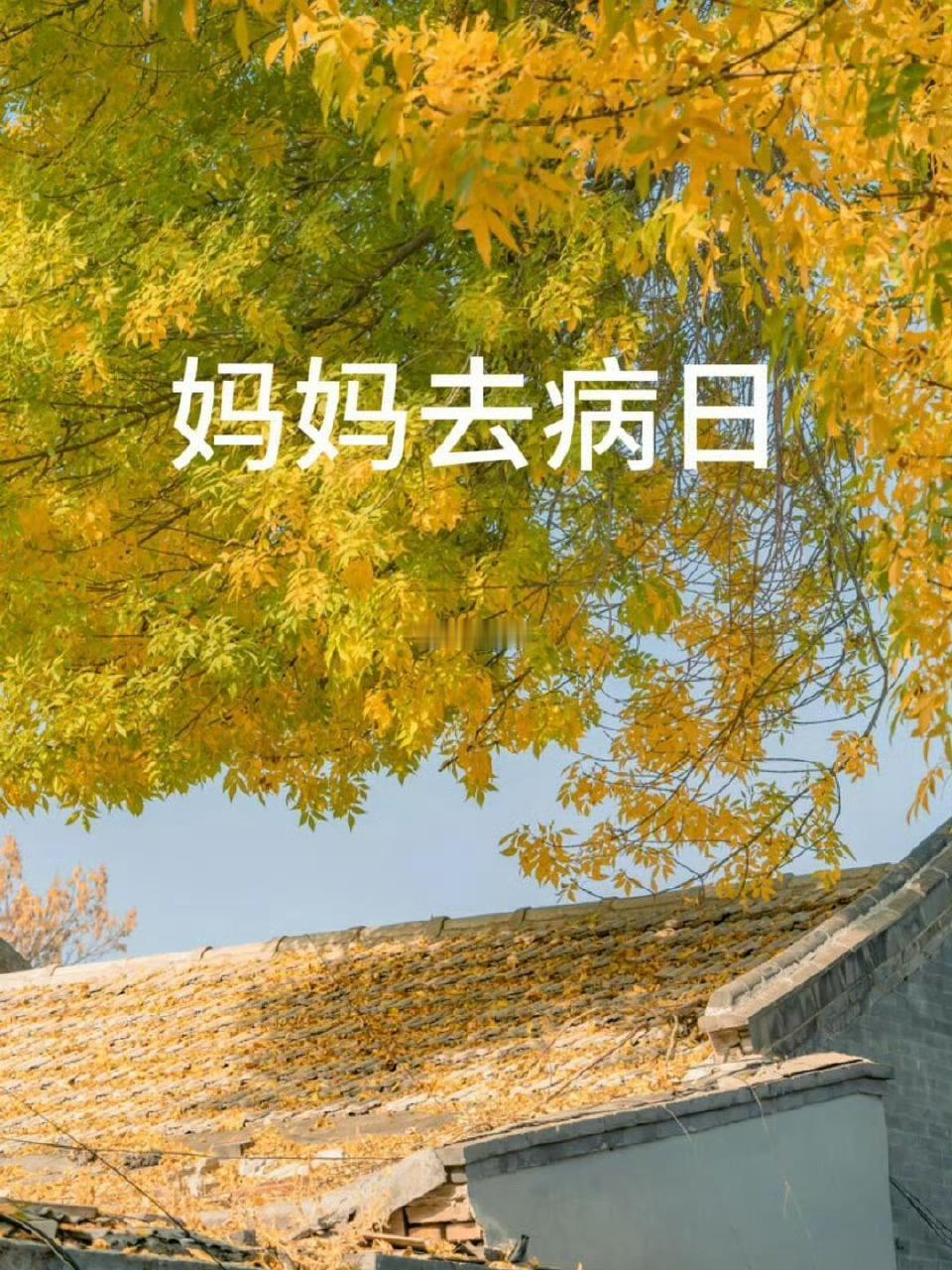 妈妈健康长寿！平安辛福！
