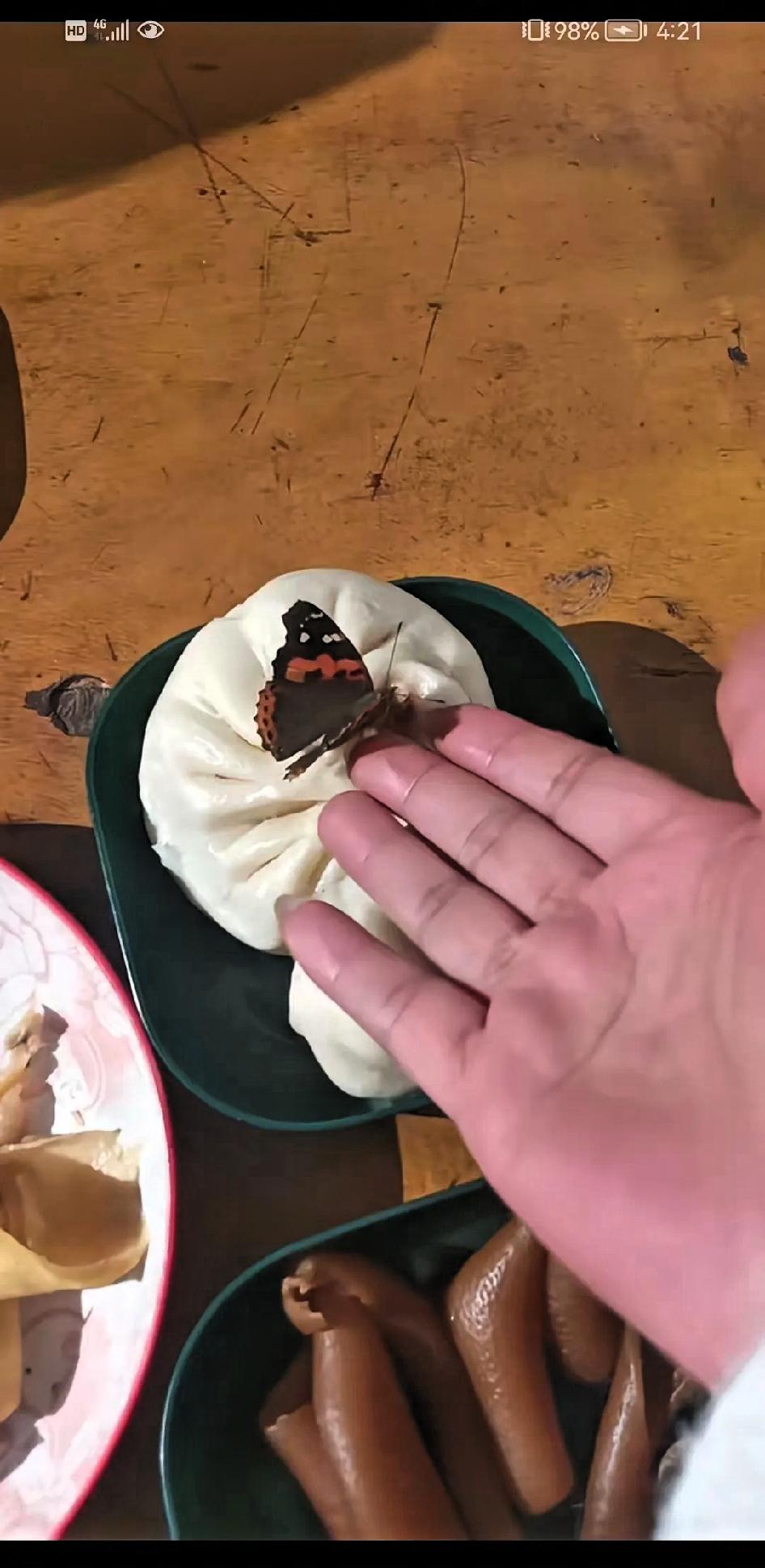 泪目！妻子刚给去世的丈夫烧完三七纸回来，正准备吃饭，忽然一只蝴蝶飞进屋来，落在菜