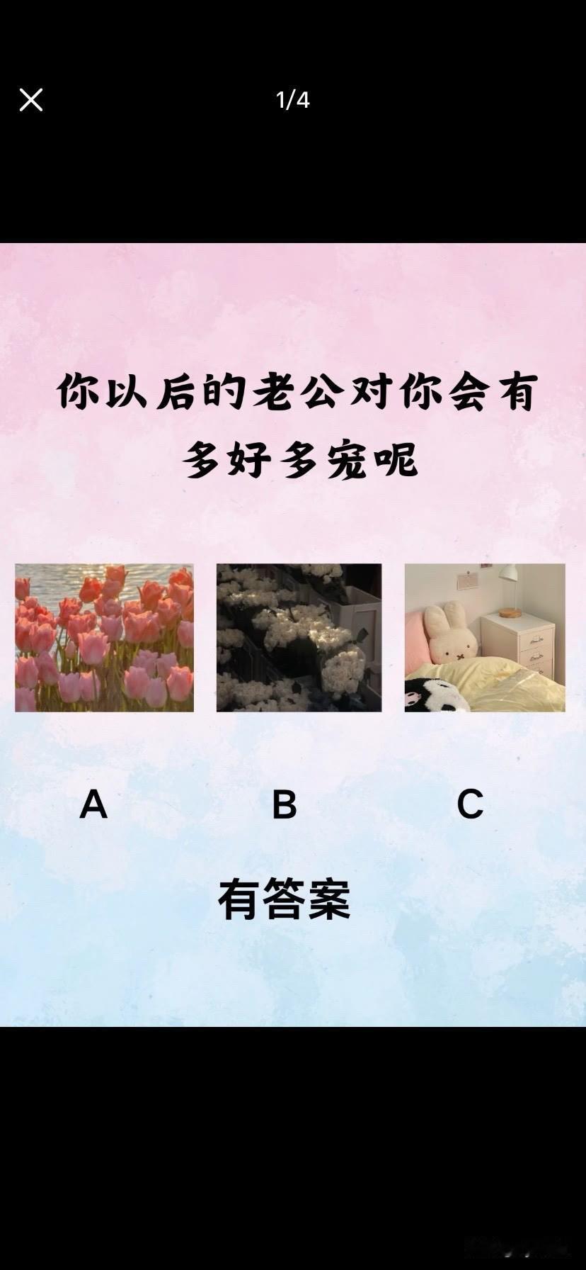多好多宠呢