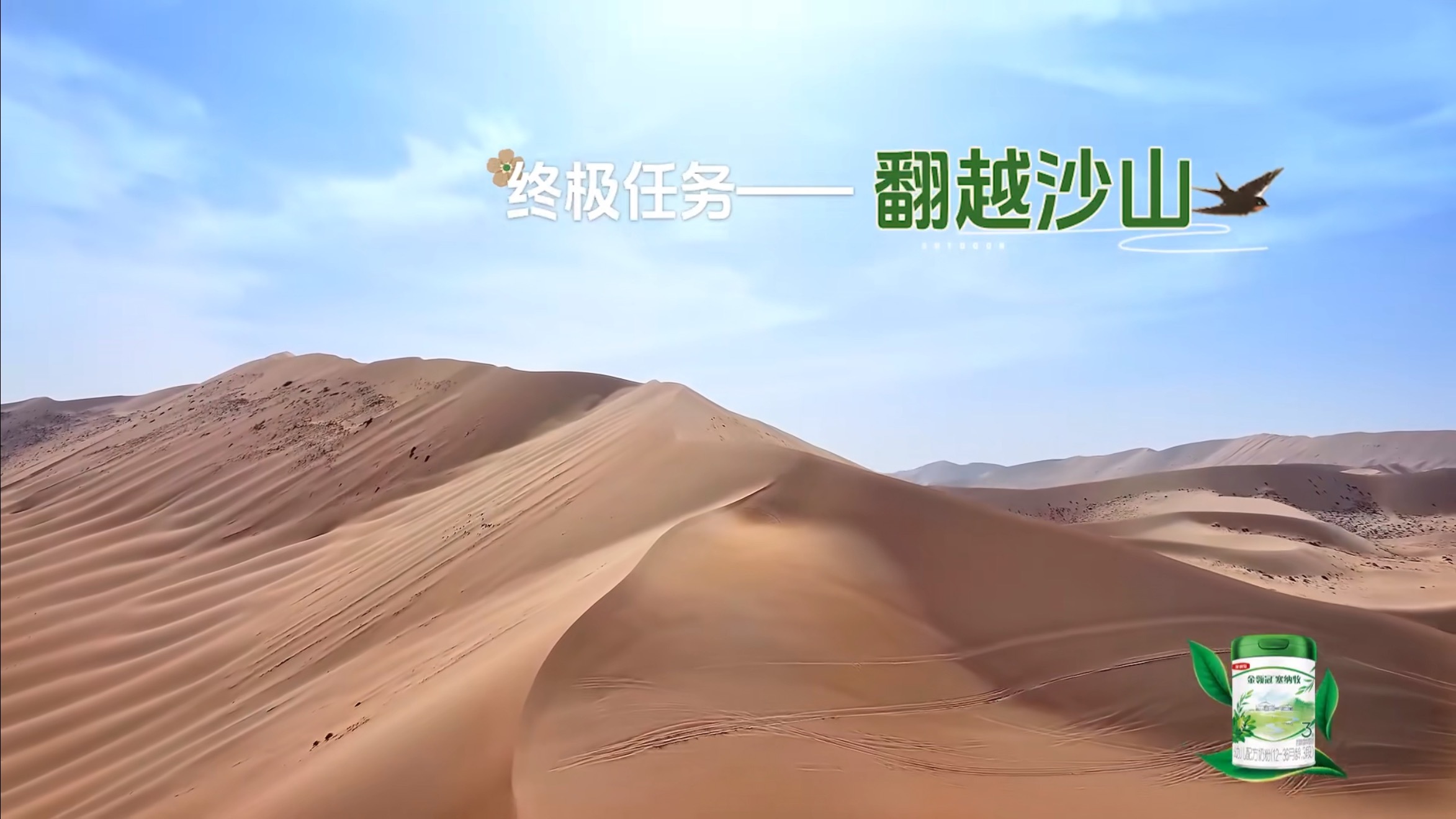 尹正徐志胜何广智在内蒙古挑战翻越沙山在内蒙古沙漠里找着北了户外成长计划 城市里导