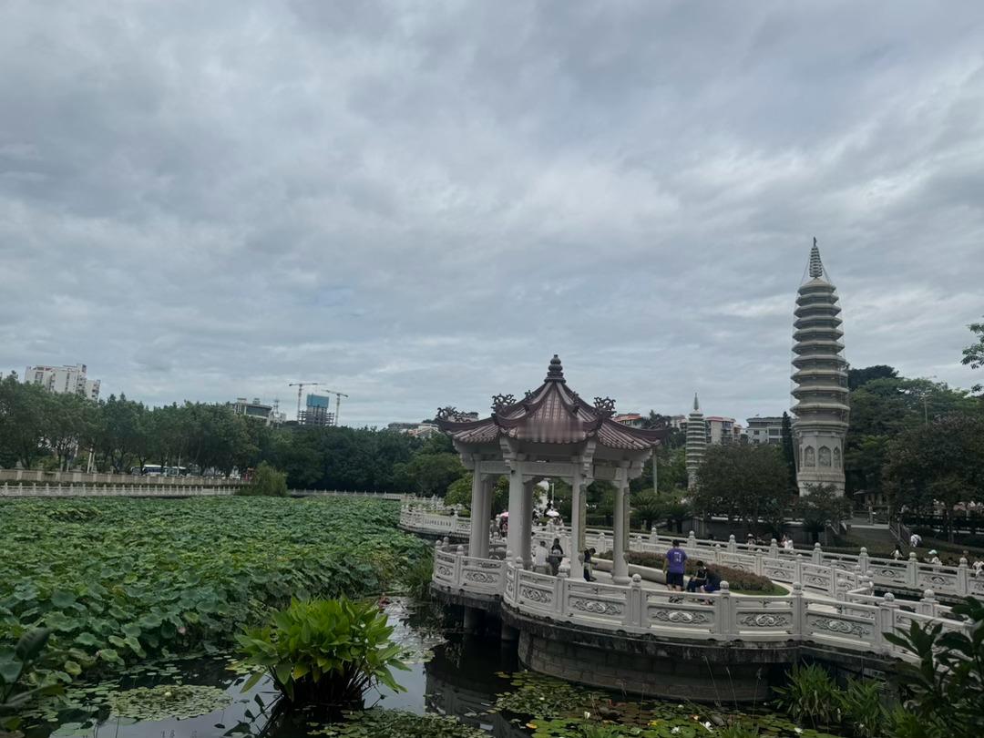 今日工作➕下班后的生活我就说吧，自己也能跟自己玩儿挺好！PS：非常喜欢这种瑕疵感