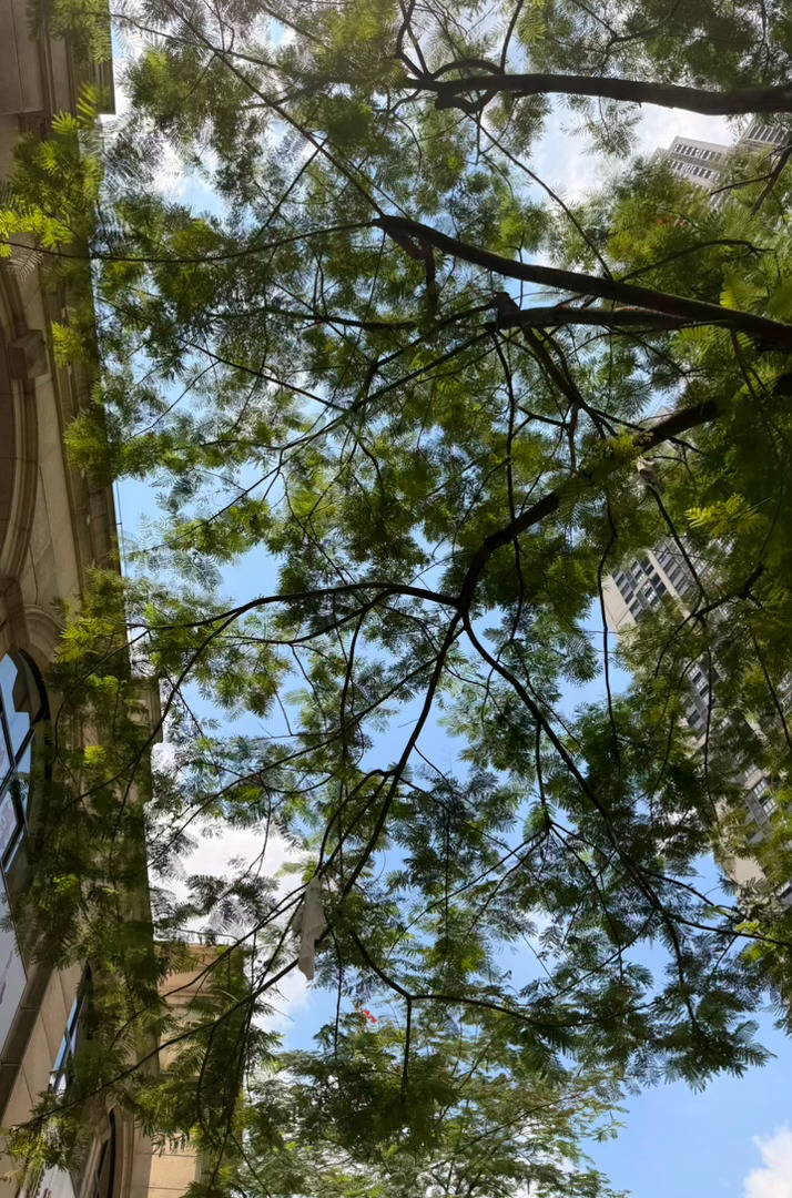 回国后的减肥大业失败 