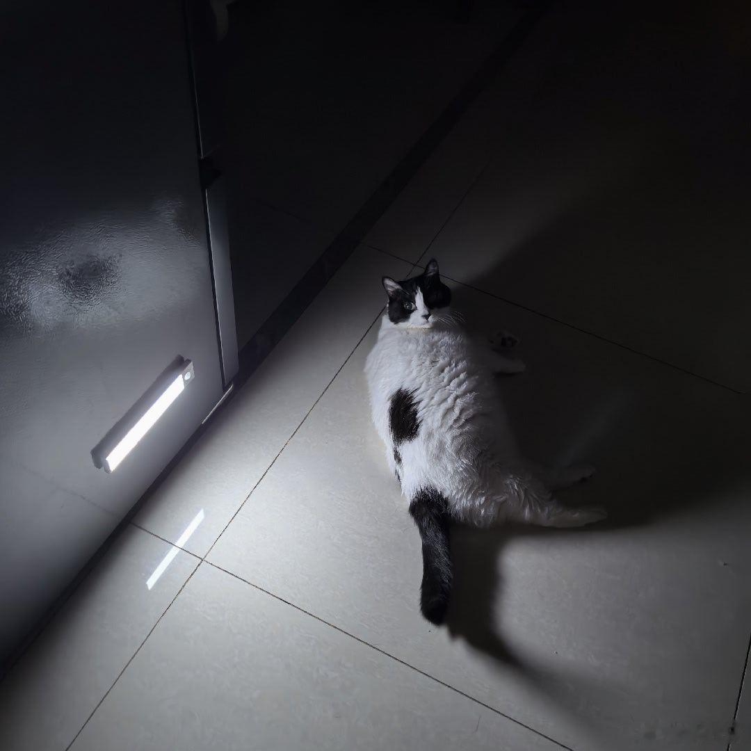 家里夜灯很快没电的原因找到了 