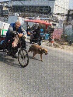 被暖到了！安徽淮南，老人蹬着三轮车缓慢前行，乍一看三轮车里堆满了东西，搁着屏幕都